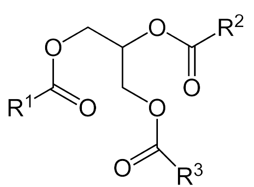 lipidy